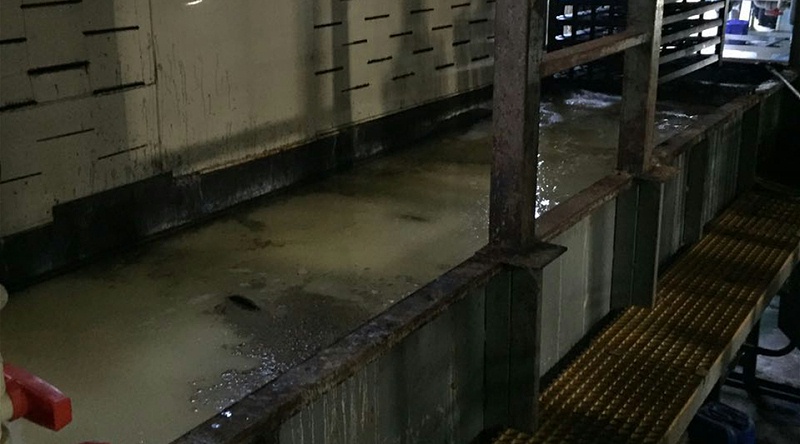 堿性鍍鋅添加劑加了鍍不上鋅的原因
